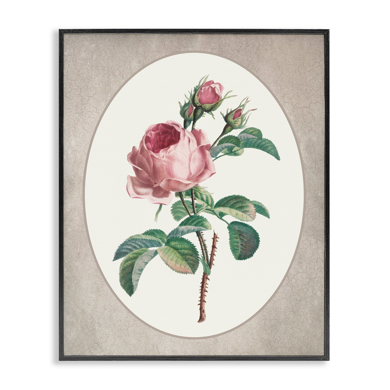 Stupell Industries Vintage Rose within Oval Framed Giclee, design by Lettered and Lined